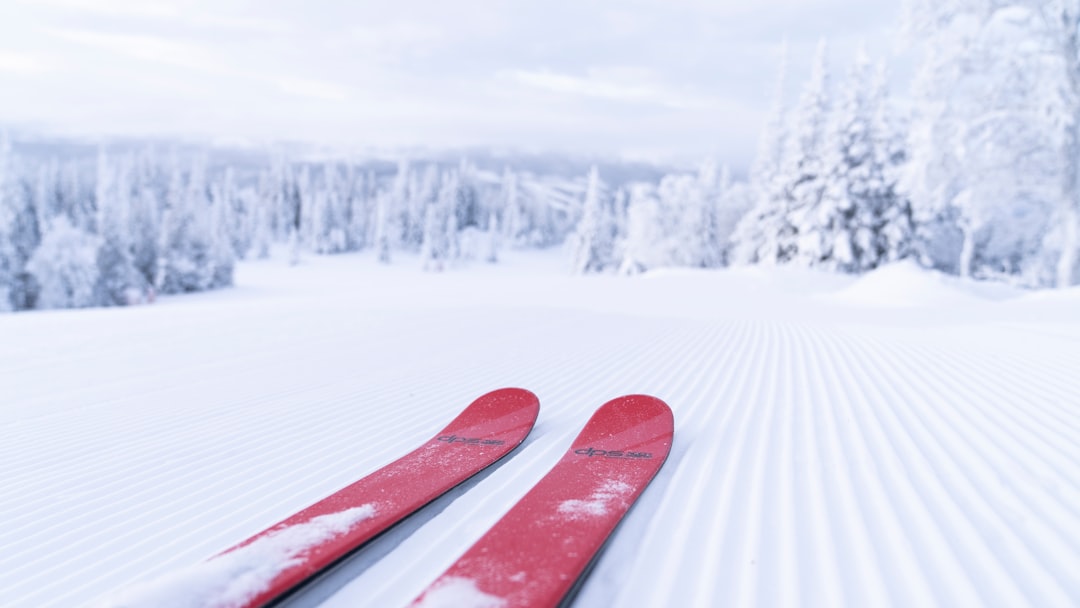 PistenBully: The Ultimate Snow Grooming Machine